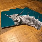 Placemats